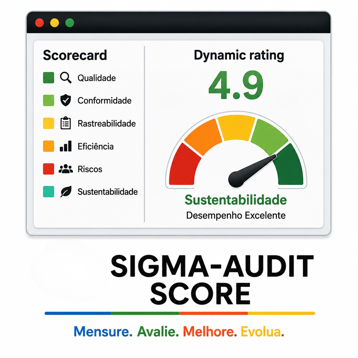 Audit Score